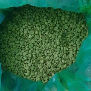 Pacamara Oro Verde
